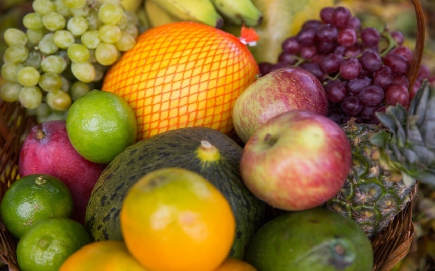 CNA apresenta impactos da Reforma Tributria para a fruticultura