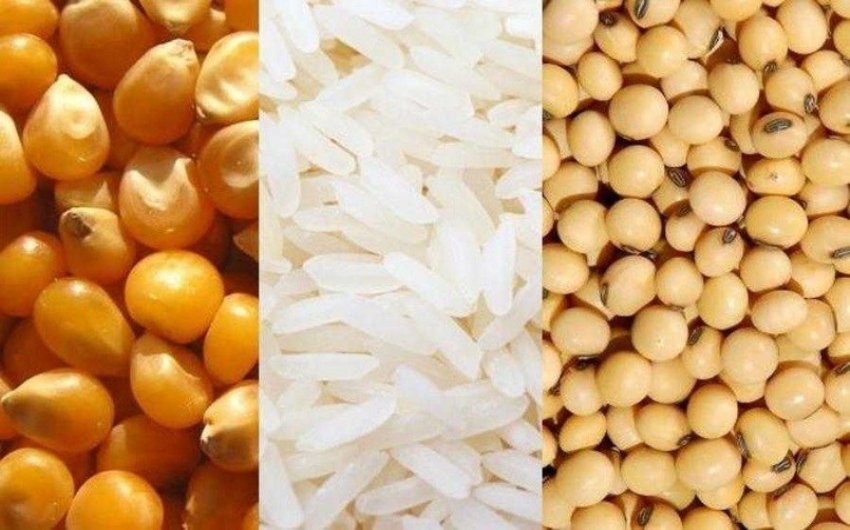 Agricultura avalia retirar impostos de importao de arroz, milho e soja 